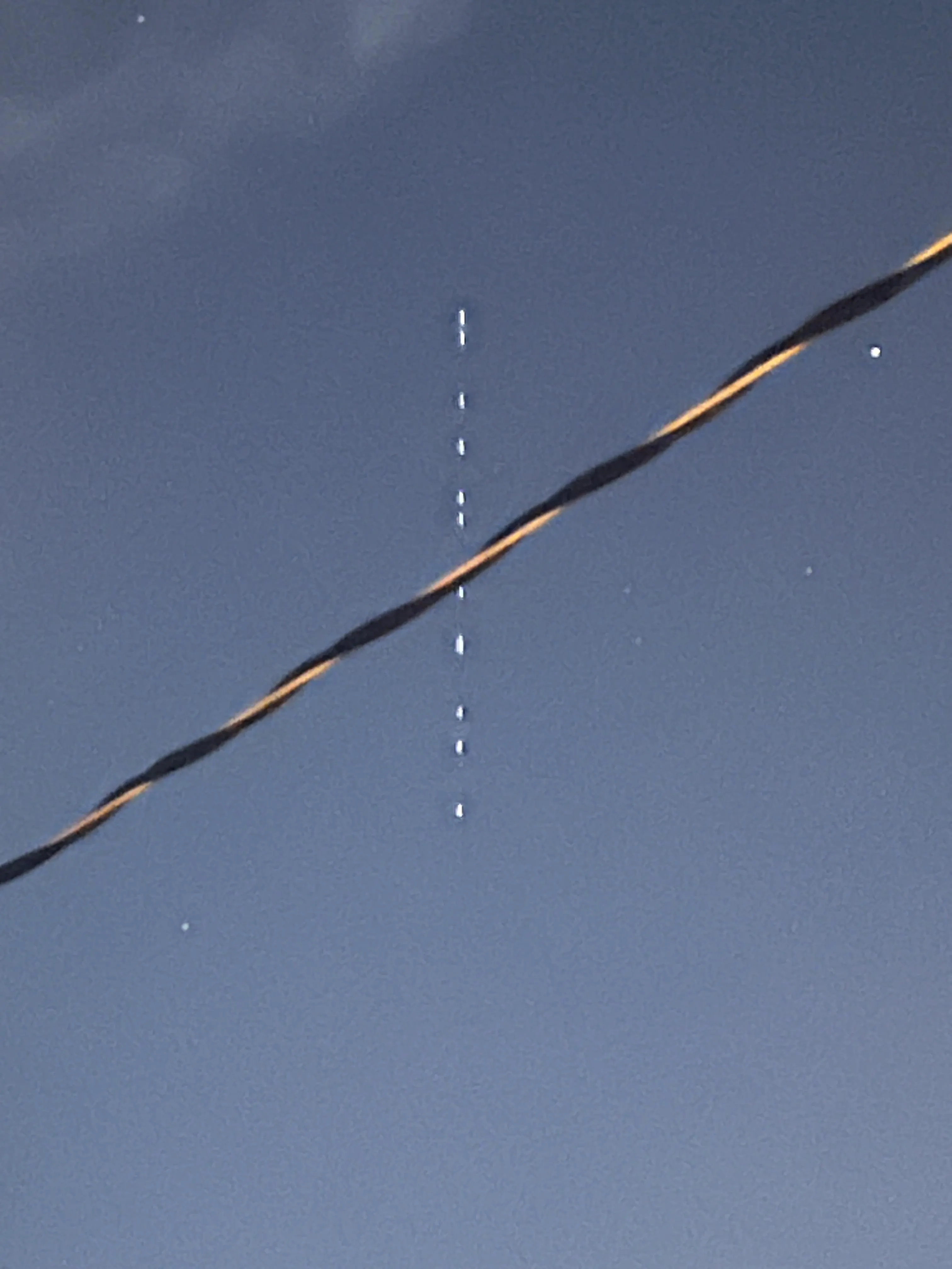 Equally spaced dots moving very fast across sky tonight what is it